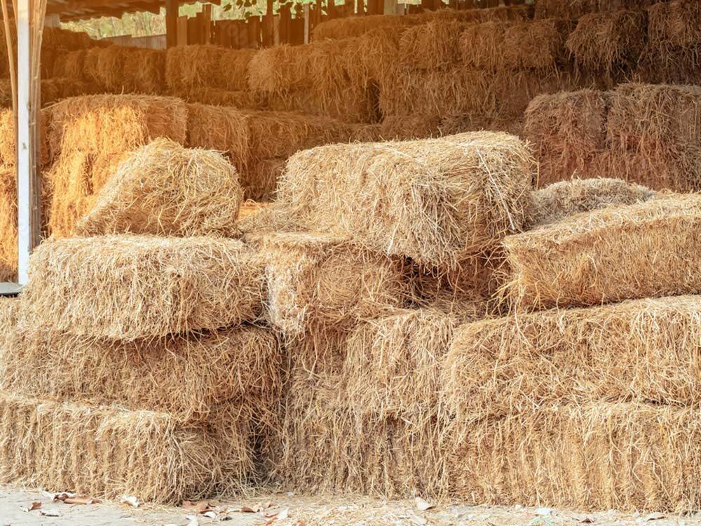 Hay, Straw & Firewood - March 4, 2023 | Heartland Auction & Realty